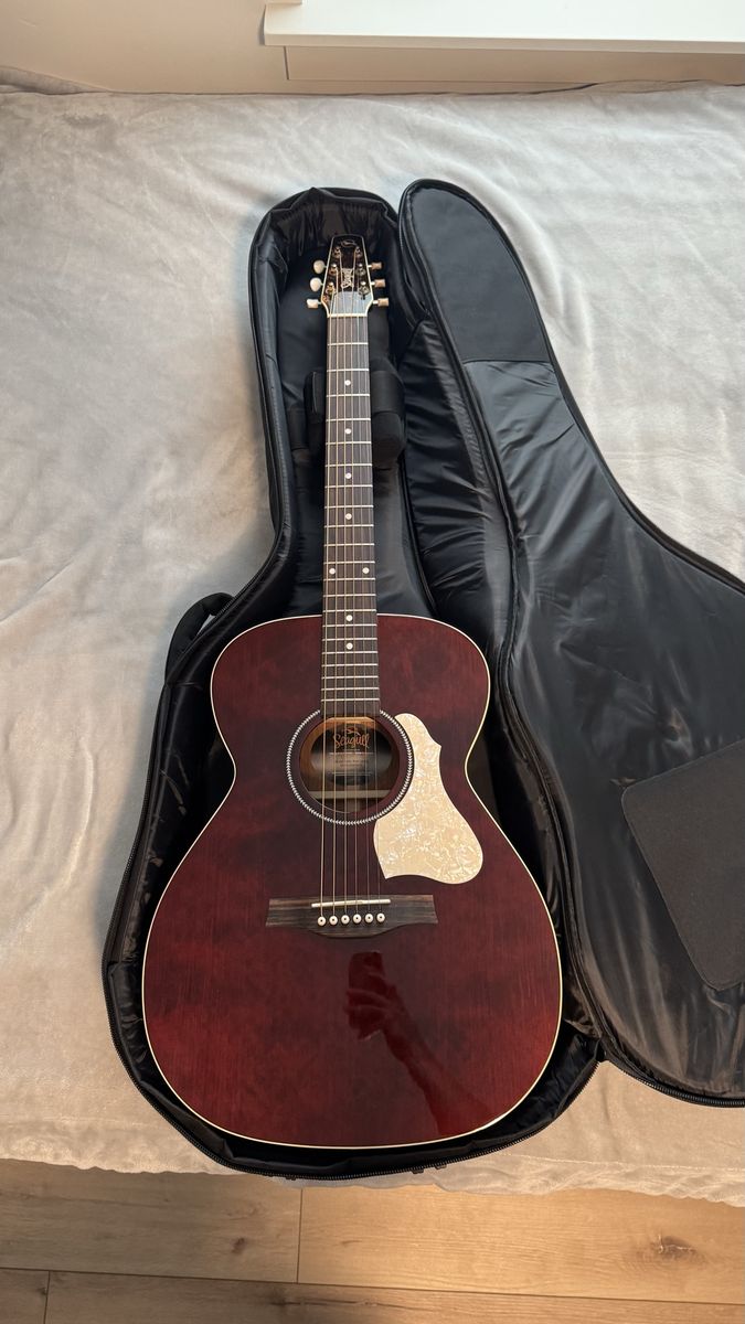 Seagull Limited Edition Electric Acoustic Hardbody