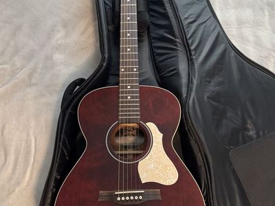 Seagull Limited Edition Electric Acoustic Hardbody