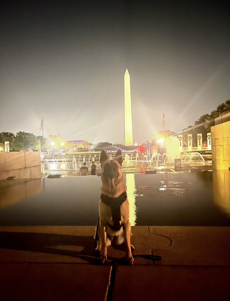 Service Dog -  Psychiatric