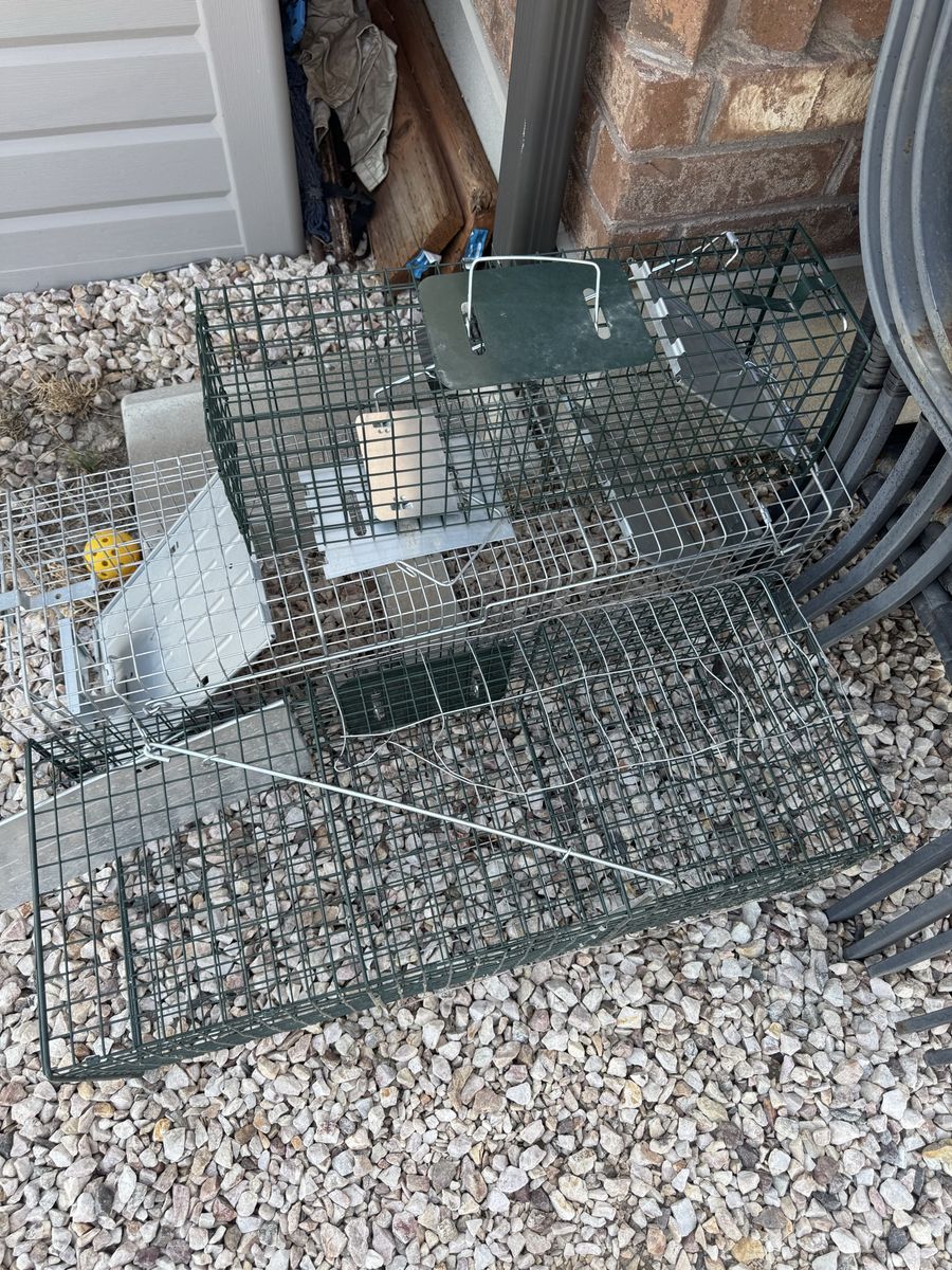 3 live traps like new