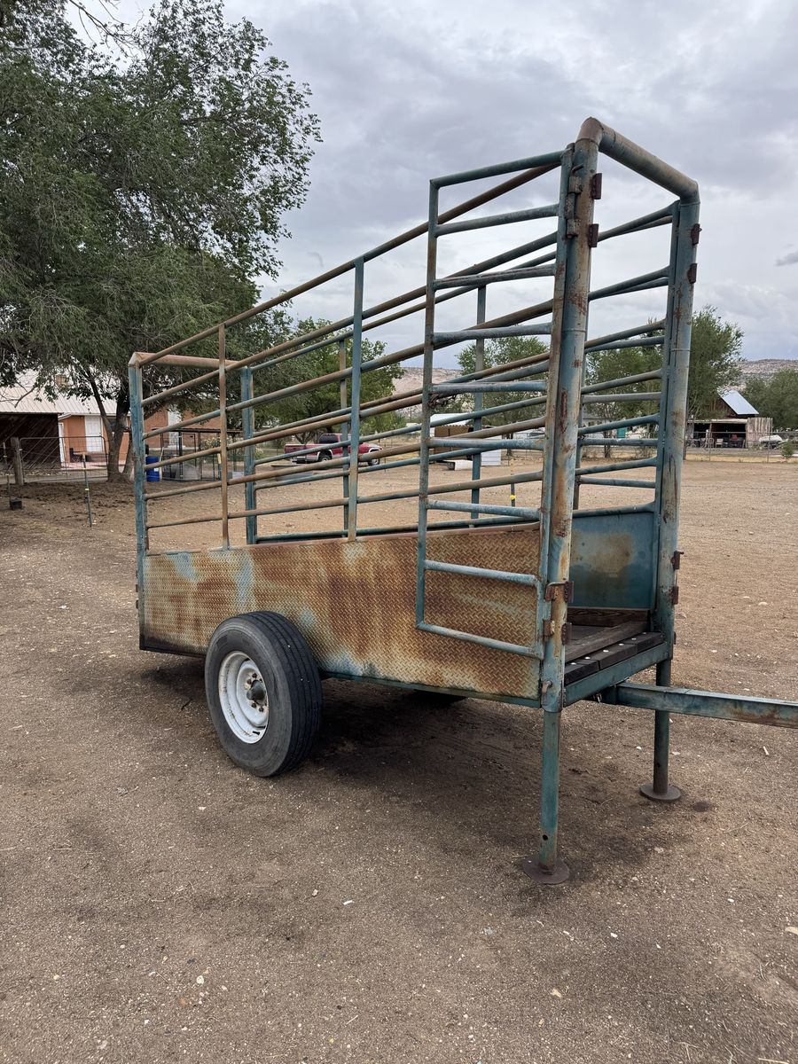 Cattle loading chute 