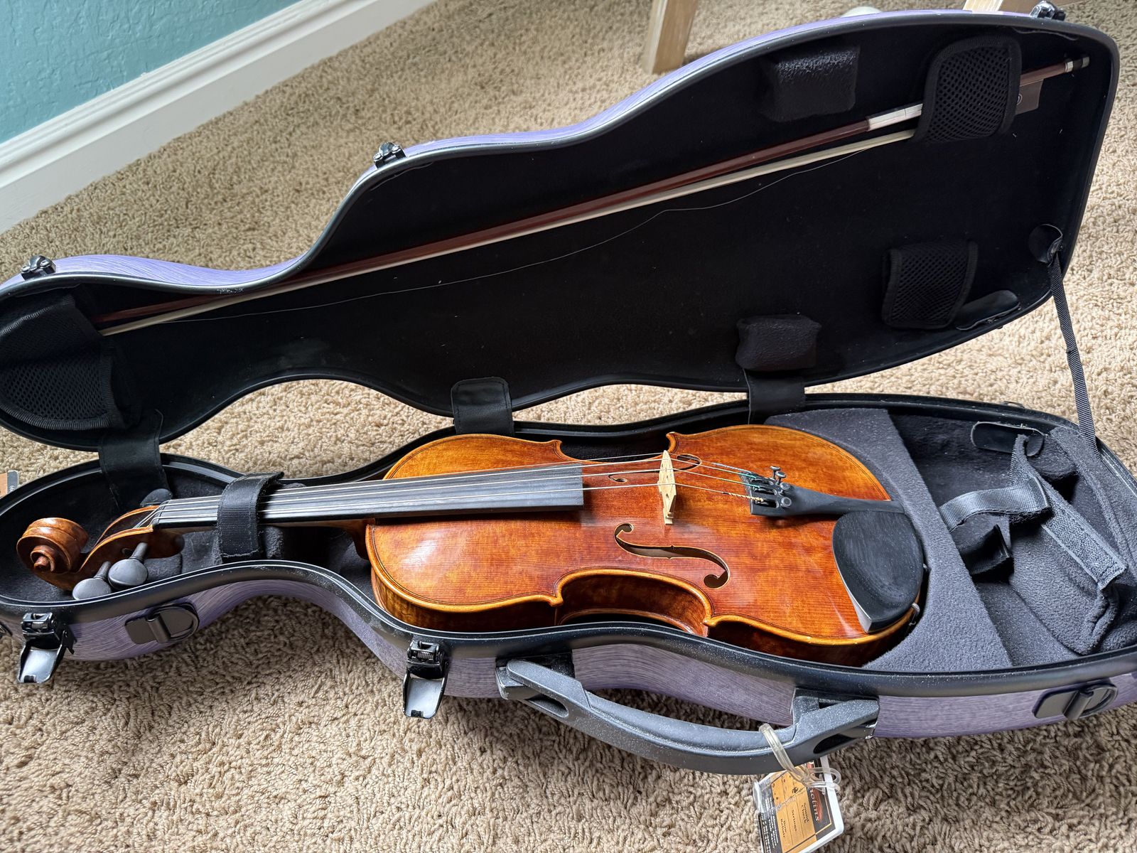 Wonderful Advanced Beginner Violin