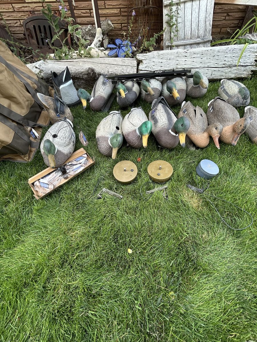 Motion Duck Decoys and carry bag. 