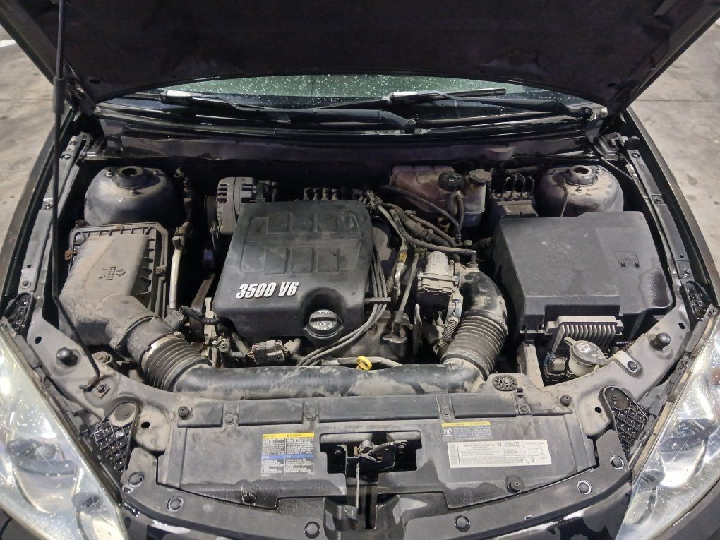 Main image 6