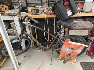 adult male bike