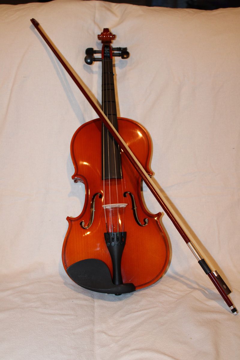Phoenix 4/4 Beginner Violin