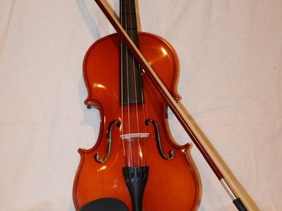 Phoenix 4/4 Beginner Violin