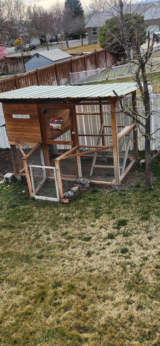 chicken coop