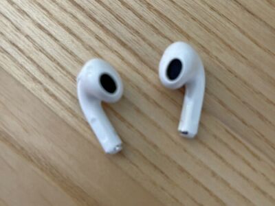 Ear Bids Only No Case