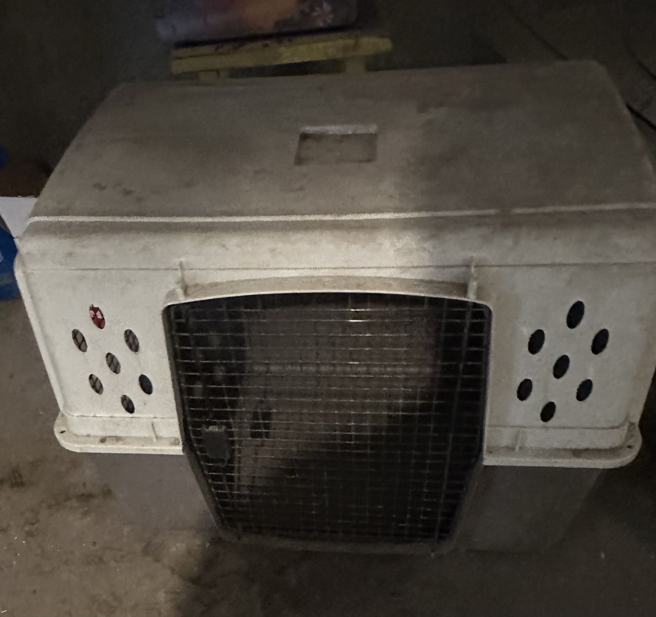 XL dog kennel
