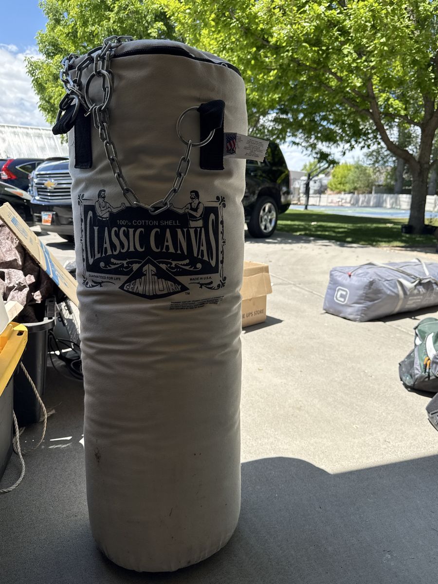 Punching bag