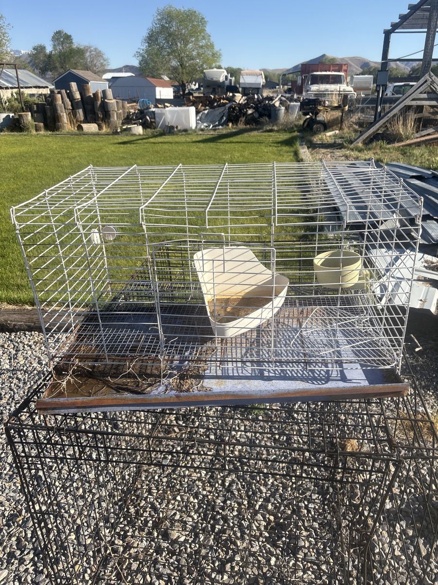 Metal Wire Pet Cage with Feeder and Water Bowl - White, Used Condition