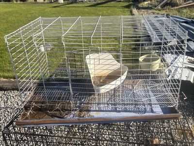 Metal Wire Pet Cage with Feeder and Water Bowl - White, Used Condition
