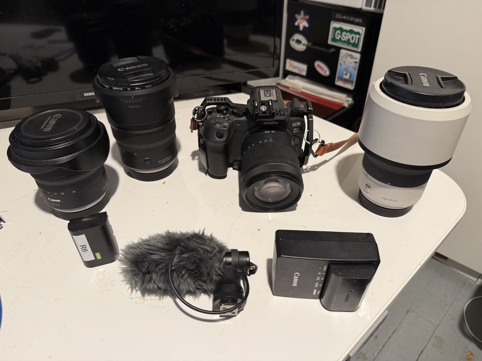 canon r6 mark ii with Canon lenses