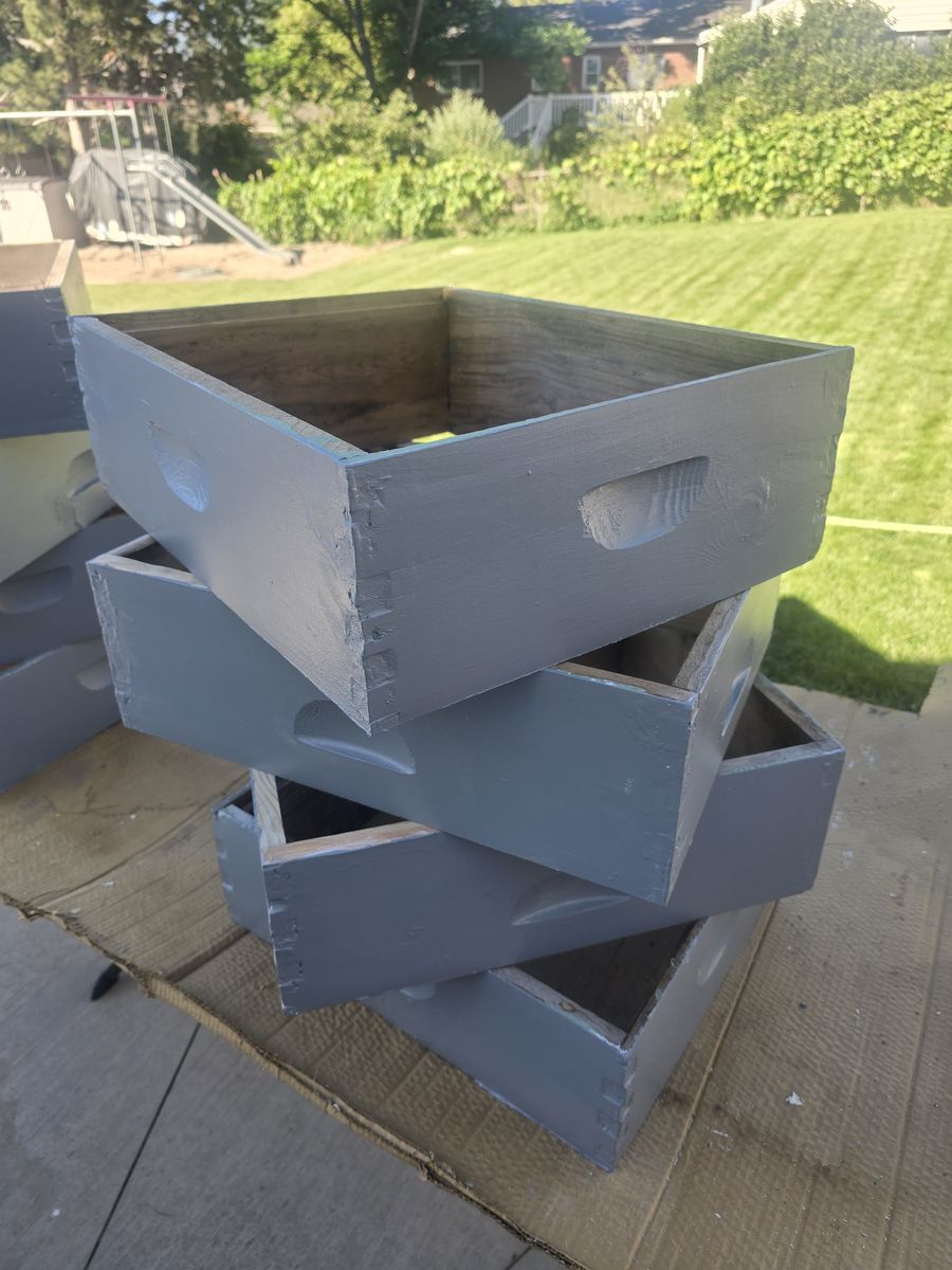 Medium Depth Supers for beehives