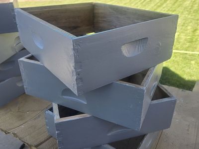 Medium Depth Supers for beehives
