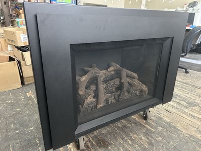 Napoleon GDIX4 Fireplace Insert