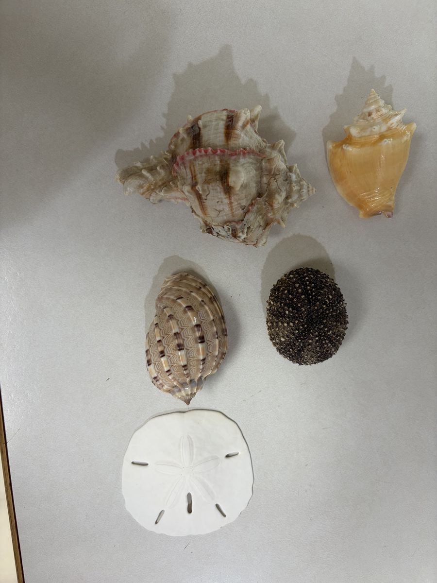 Main image 4