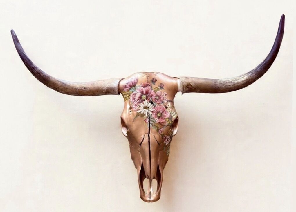 Longhorn Skull Art