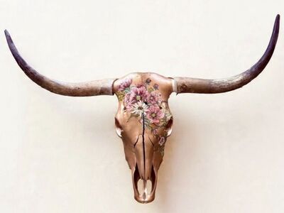 Longhorn Skull Art