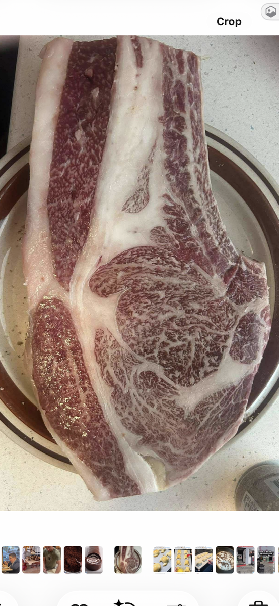 Purebreed Wagyu calves