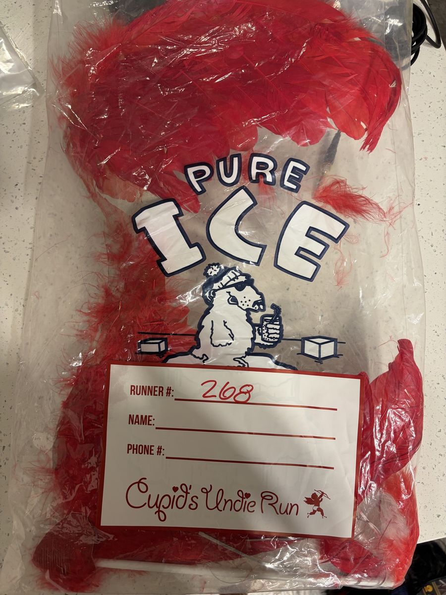 Cupid's Red Feather Costume Accessory
