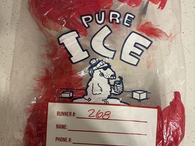 Cupid's Red Feather Costume Accessory