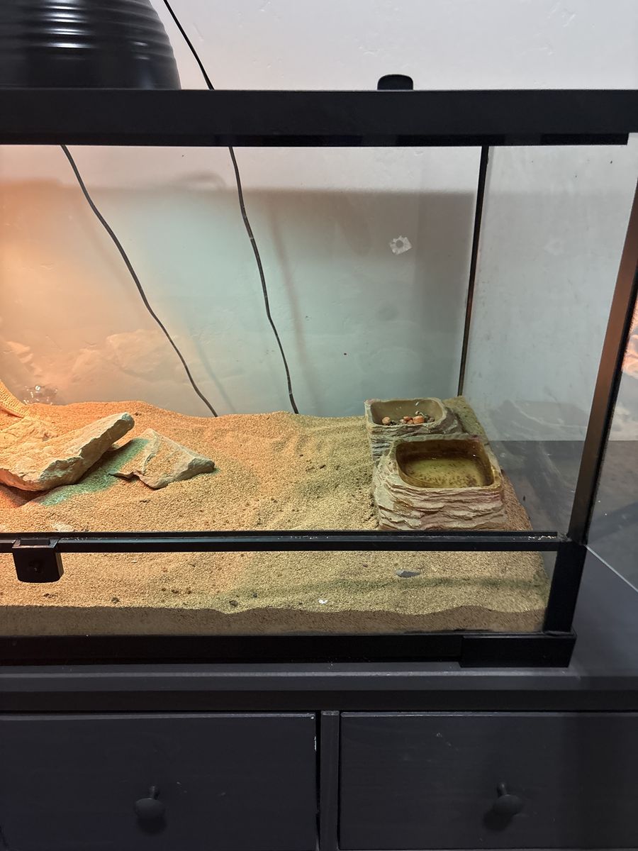 Main image 5