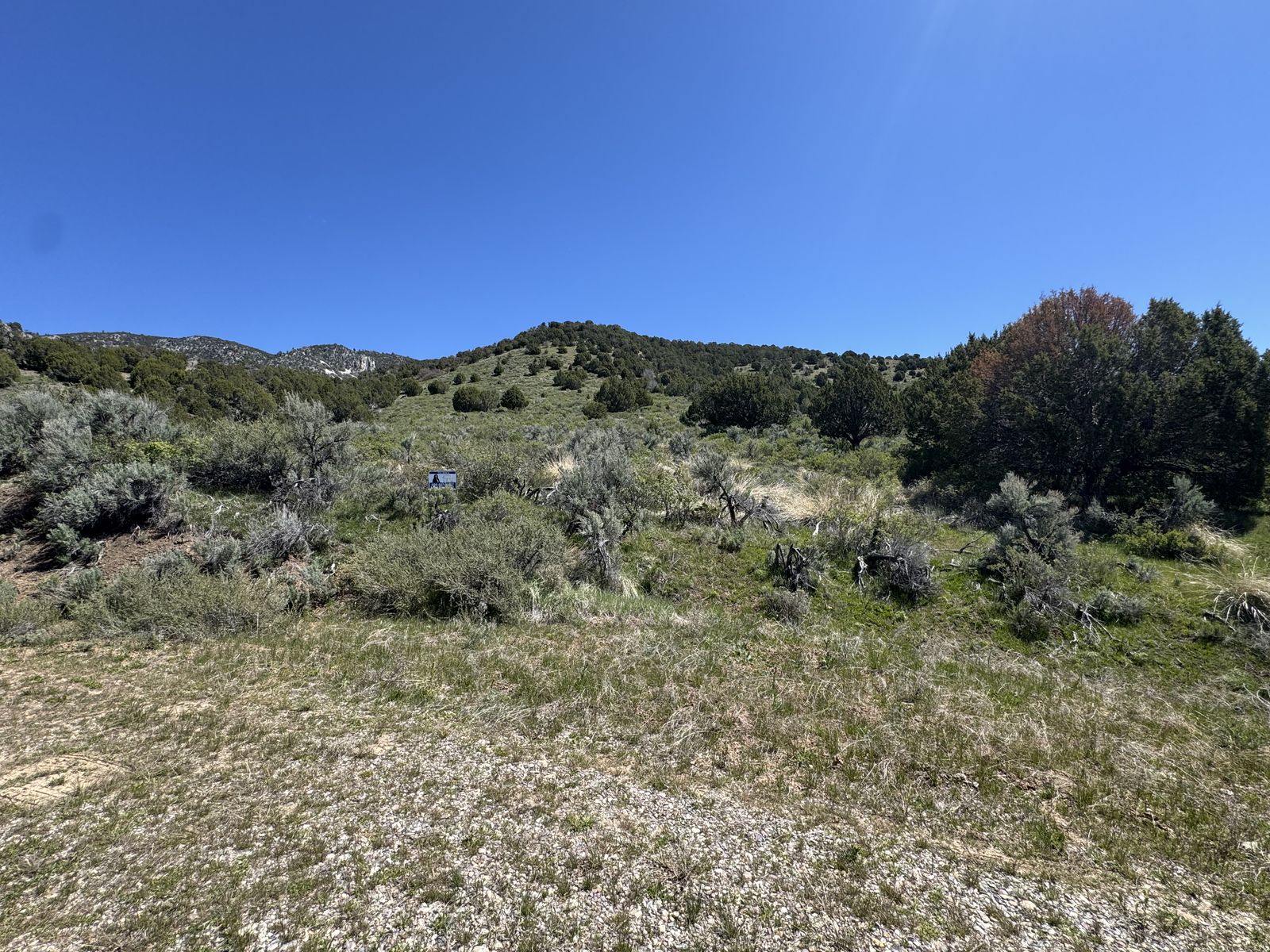 Main image 15