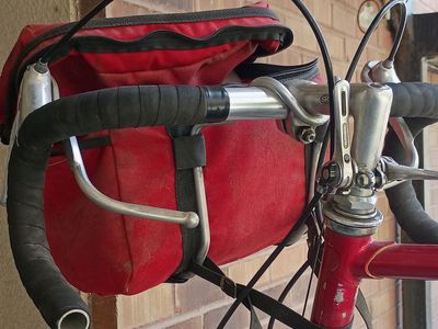 Vintage Panasonic 12-Speed Road Bike with Shimano Components