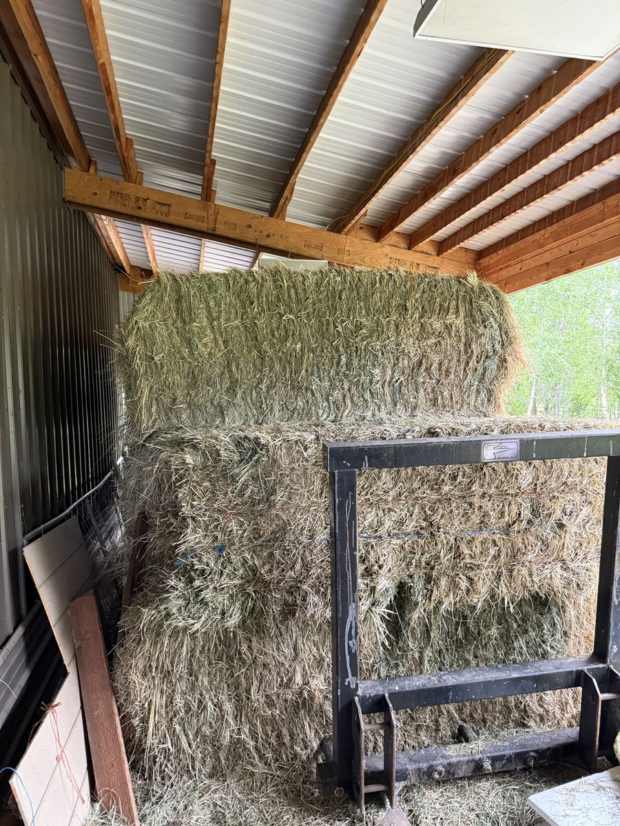 Grass hay