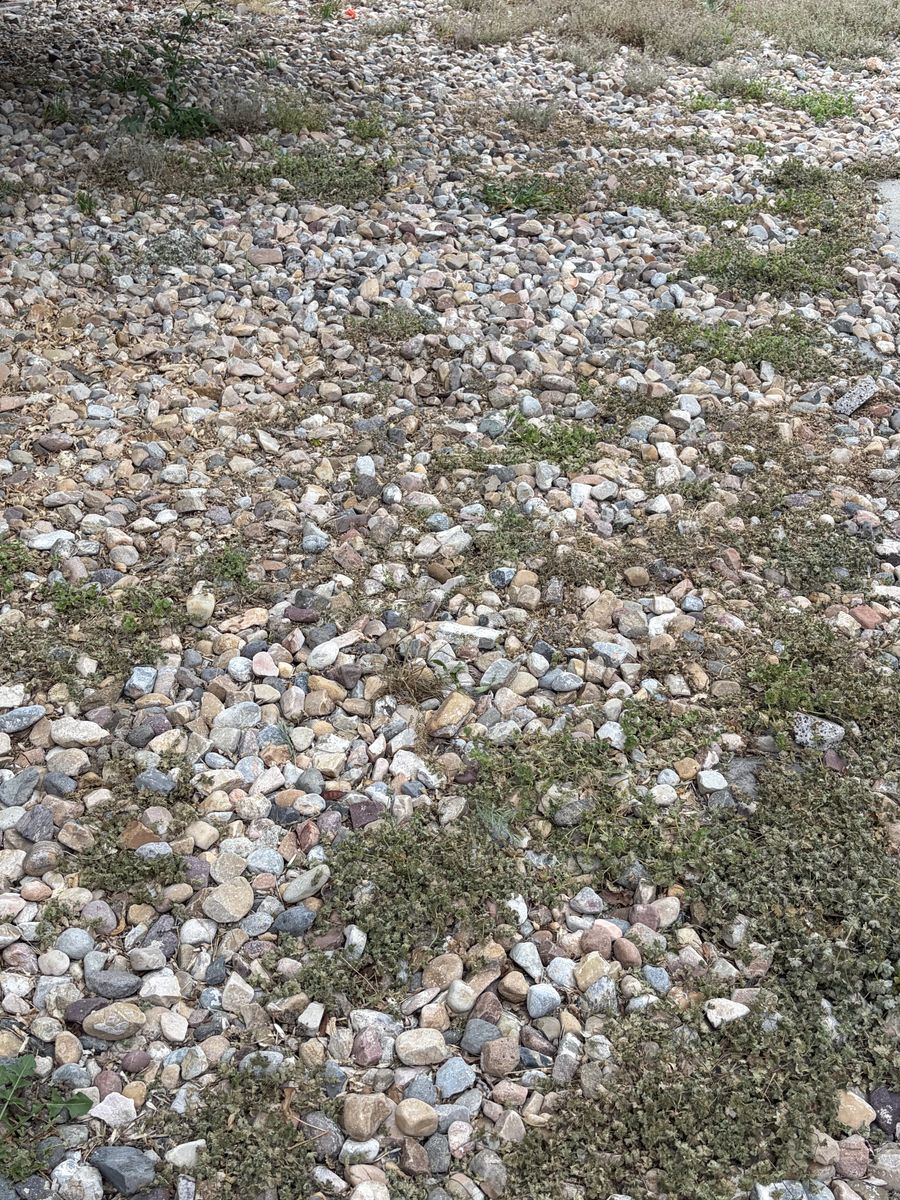 Earn $100 moving rocks