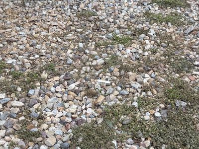 Earn $100 moving rocks