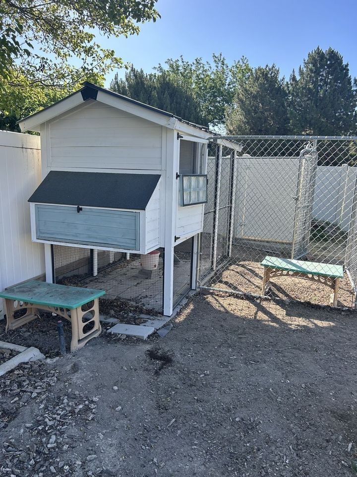 Main image 6
