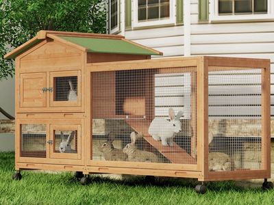 Magshion wooden chicken coop/rabbit hutch