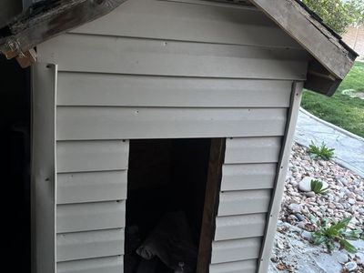 Dog house