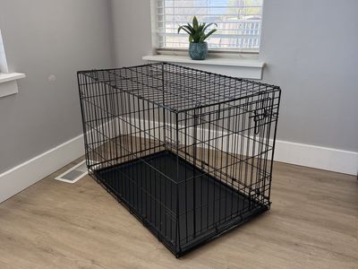 Large Kennel