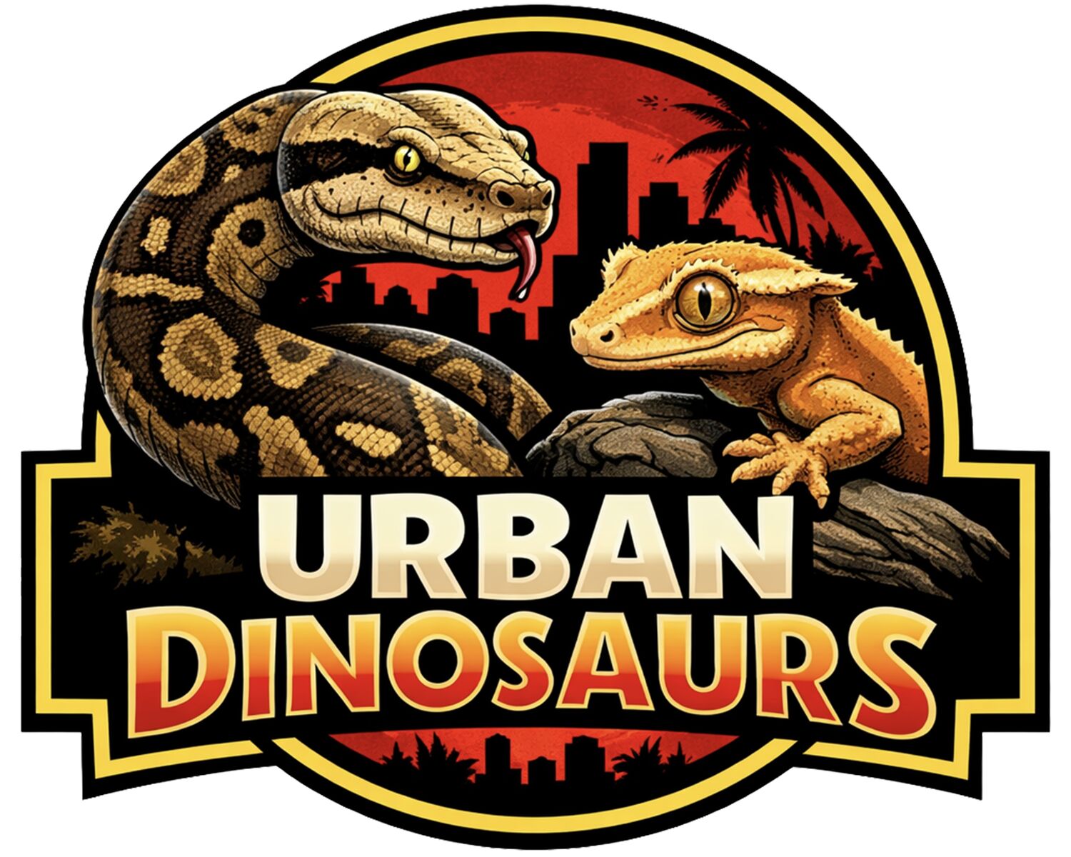 Adult male crested gecko(pet only)