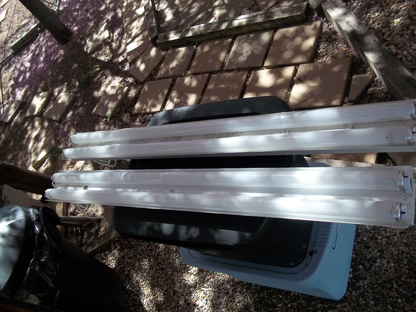 4Foot florecent lights w/extra bulbs