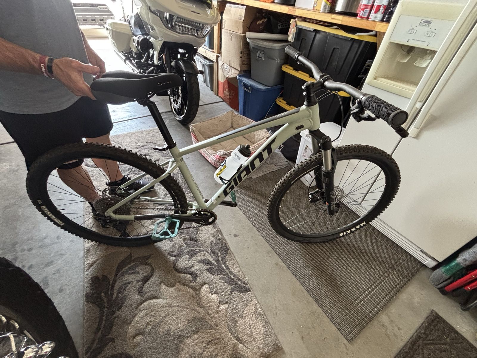 Giant Talon 29 1 M Desert Sage (SXC2 fork)