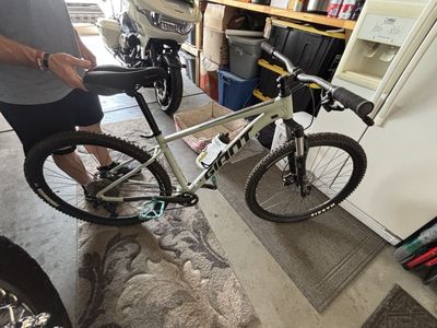 Giant Talon 29 1 M Desert Sage (SXC2 fork)