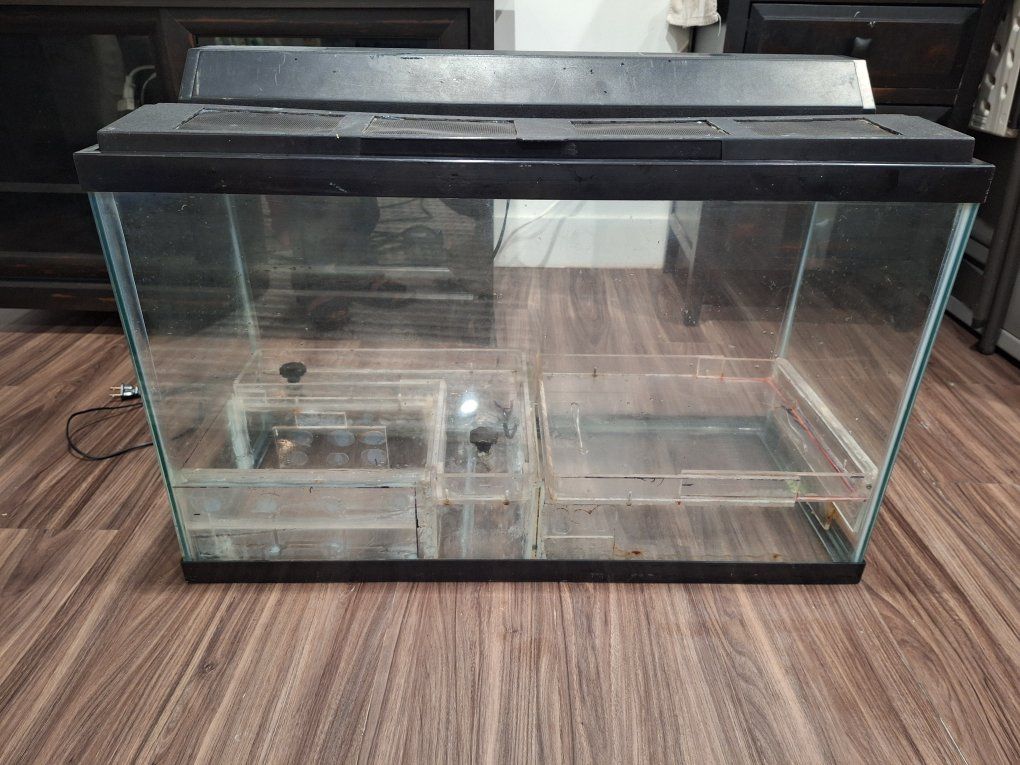 Main image 2