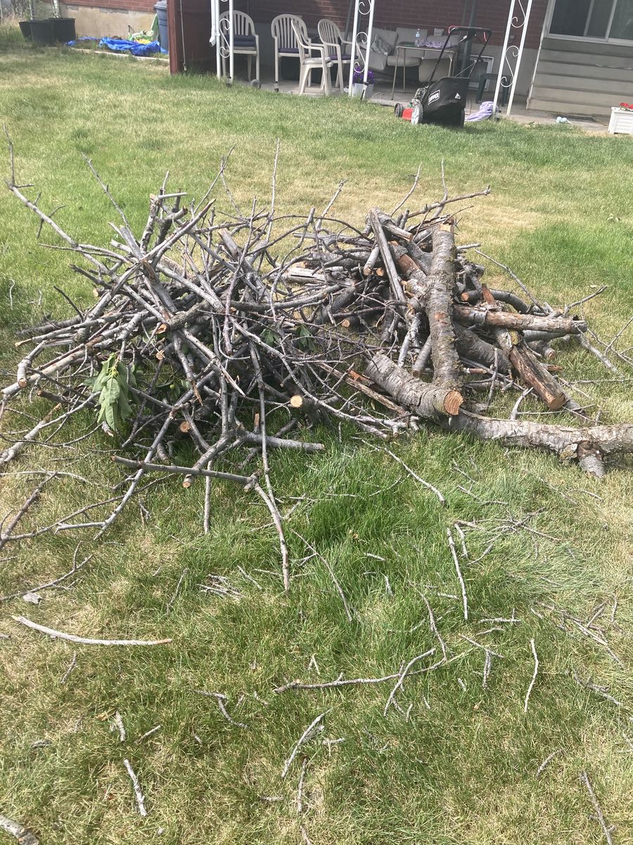 Cherry fire wood