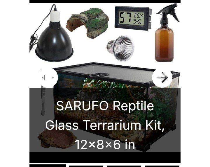 Small Reptile Glass Terrarium Kit (NEW)