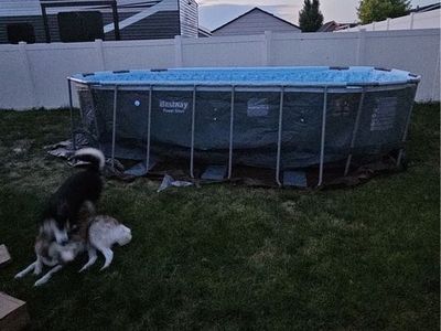 Above Ground Pool With Sand Filter Pump