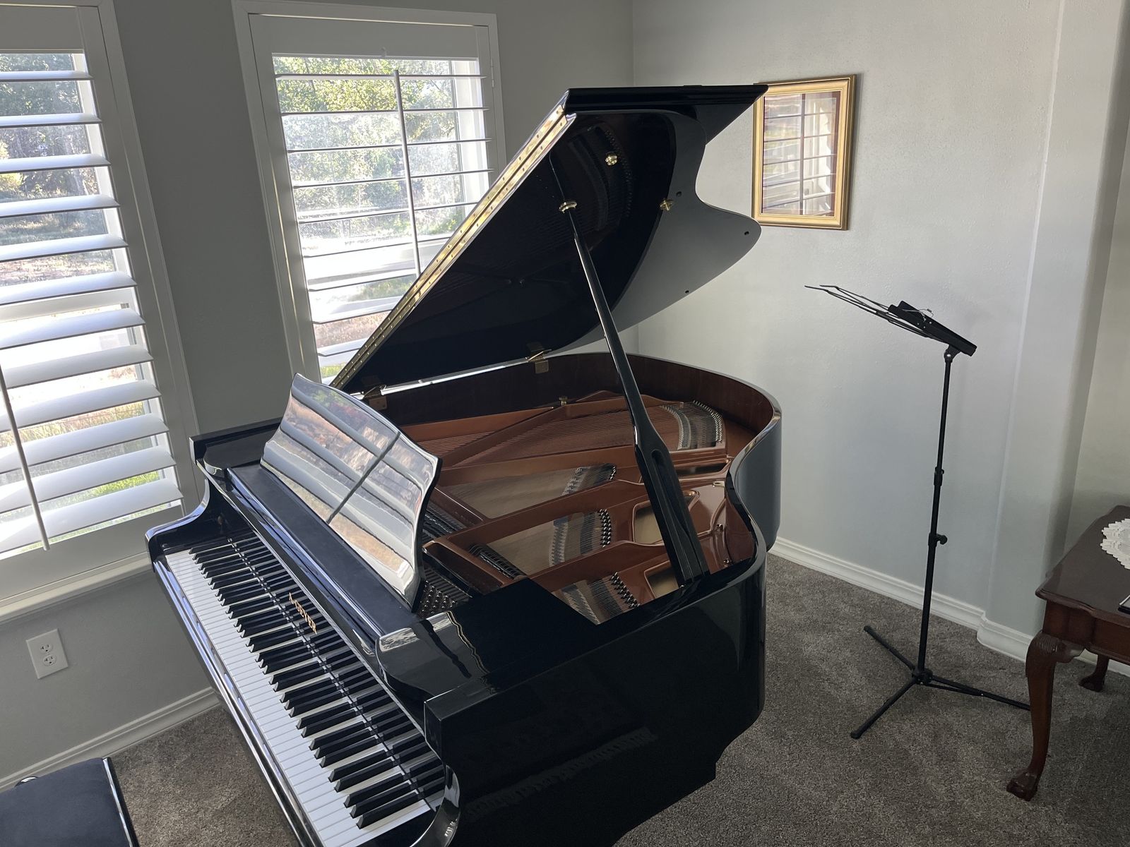 Beautiful Baby Grand