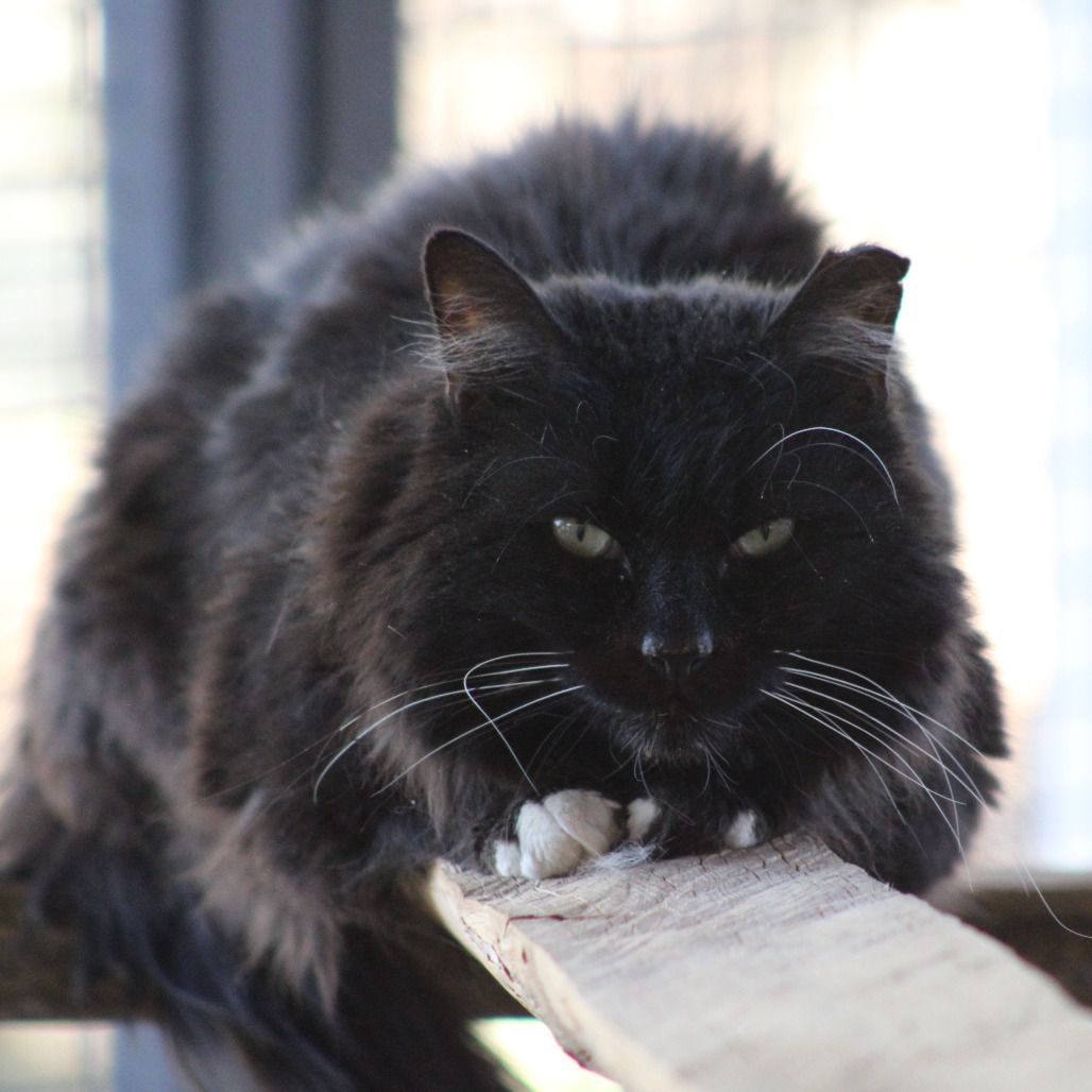 Hello my name is Brennan