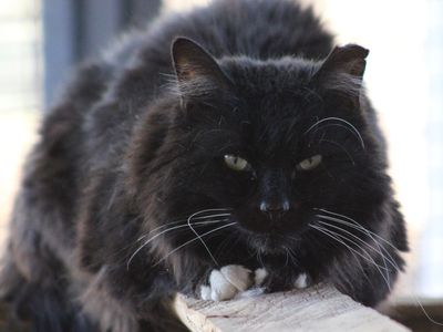 Hello my name is Brennan