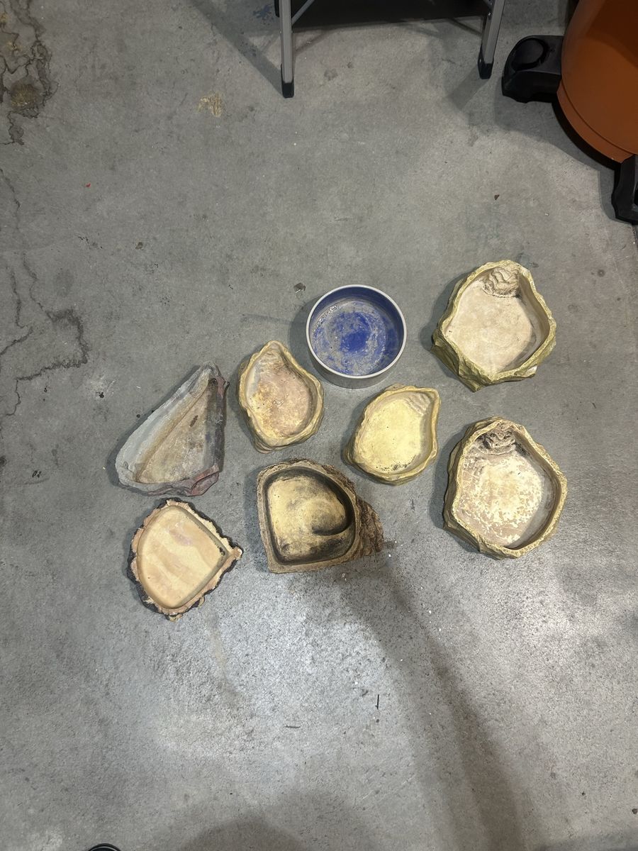 Reptile bowls