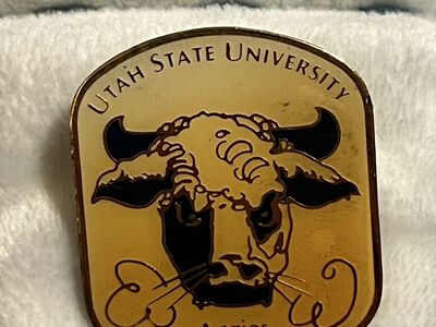 Vintage Aggie Pin